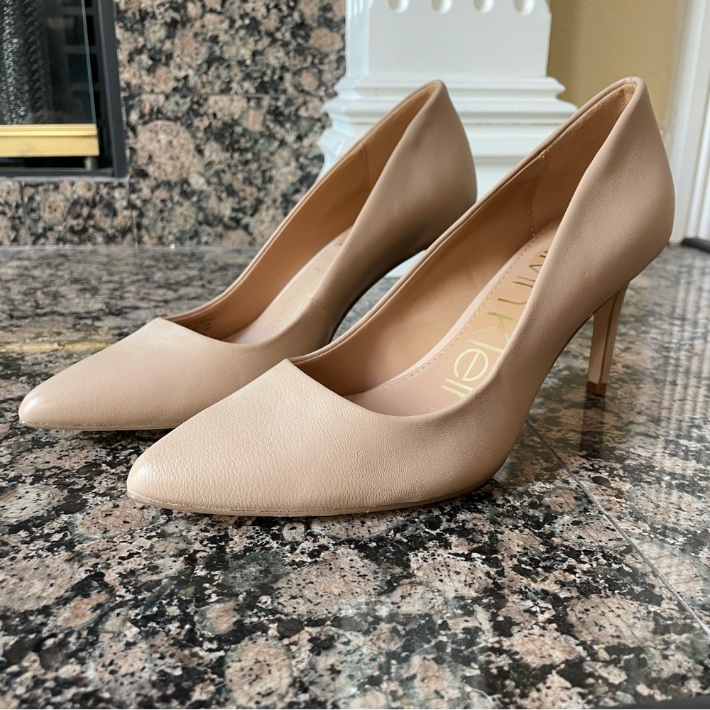 Pointy Toe Nude Classic Pumps